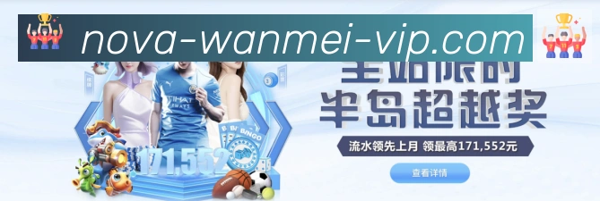 未来规划